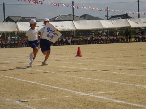 iyafufukghxkafri5ud9_480_480-9ccce766.jpg