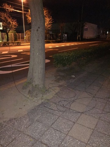 iydhyhjituzgwyb6s9w9_690_920-2d49c91a.jpg