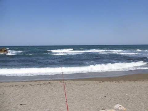 iyfchrx2gbnfgrb3jxxd_480_480-5a8836bb.jpg