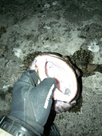iygaa5j6t3r6bv9kzuix_690_920-e8775ee8.jpg