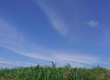 iyh9jnc6syn2z9an96f3-2567ca00.jpg