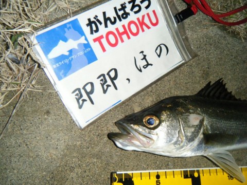 izgvjxo7g9y84k2fu52u_920_690-c4536071.jpg