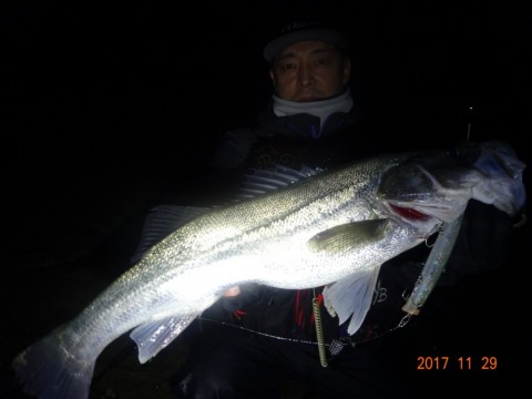 izgvofn2v7b6xybvb4j8_480_480-6df069ea.jpg