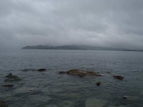 izvuvzn8hc4b8cbao7pr_480_480-c8fd79e6.jpg