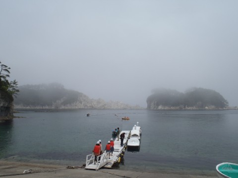j24crd2x33xopn25rhtx_480_480-3fc2fbcc.jpg