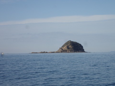 j28rscw3smnjeswcohii_920_690-22183020.jpg
