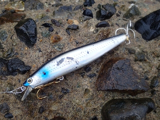 j2emtnmgtwbu62bf494r-9562114e.jpg