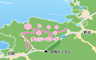 j2f8kpnobscscvu53468-851ad04a.jpg