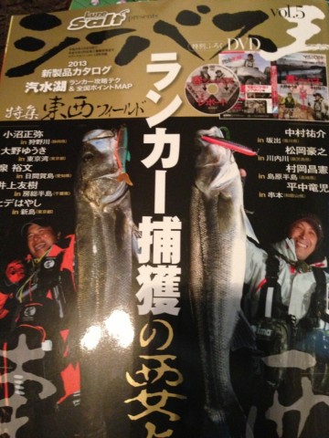 j33avp8jxisr8sxphf37_690_920-484420ae.jpg