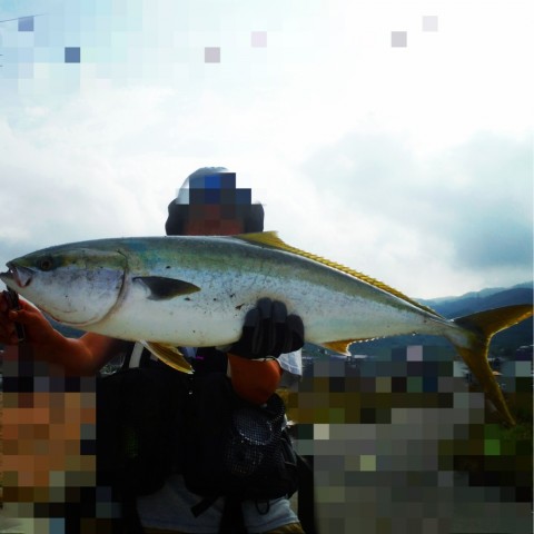 j34hp4o3kmk6fusaju2i_920_920-6b9defbe.jpg
