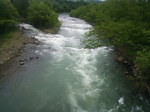 j3amgizvkhvcepsrdii5_640_480-b43075f0.jpg