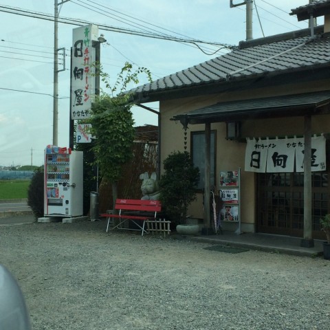 j3asi4dbpitkt9y76fxs_920_920-11ed3f4b.jpg