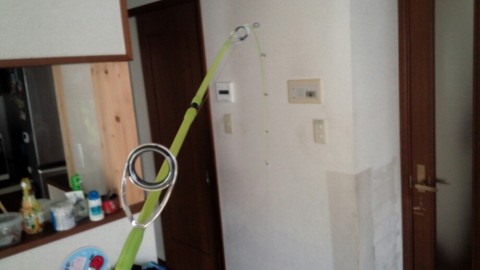 j3enx8bdowcmdx9ysi7h_920_518-79c2a9f1.jpg