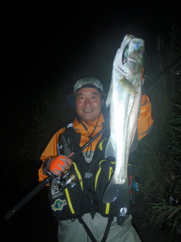 j3jek7scfhpvf76scma4_480_480-5d25889d.jpg