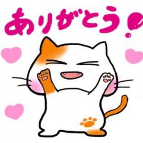 j3ybtoh6cd5zdsdne6t9_920_920-219c986e.jpg