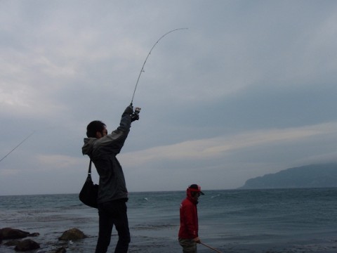 j426pex4trr4rd3vy8xp_480_480-45f65e89.jpg
