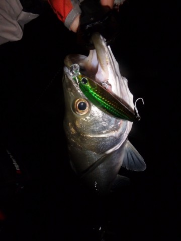 j4autyad57oxnkrm54cm_690_920-3ccd107c.jpg