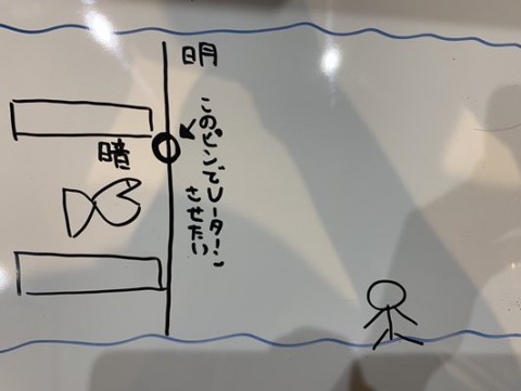 j4c5tsym76vt6he9nhh6_480_361-115965fb.jpg