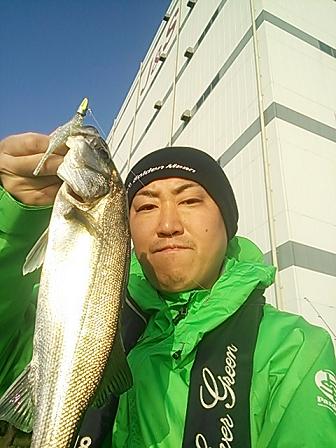j5ab7e34hsefzk4byg92-026f2bd4.jpg