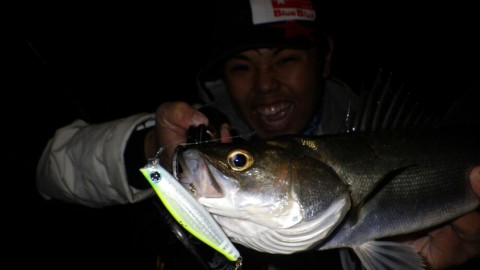 j5vs43jh5hs3bzdr8pzs_920_518-9c4577d9.jpg