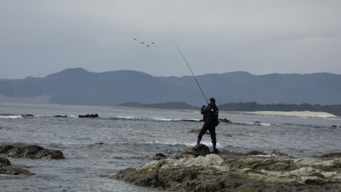 j64napjyeo92k6mbogdj_480_480-75f77d54.jpg