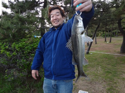 j67s4yus5okjndztbgze_480_480-99002e63.jpg