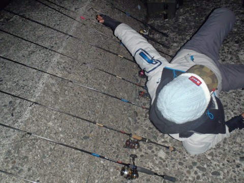 j6dtm5kkvptj2osf9wr9_480_480-f6f8bcdb.jpg