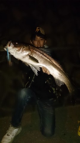 j6kt895sx3gdhr5zka8h_480_480-37daa0e4.jpg