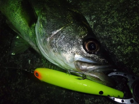 j6m4p39ryai94okxoeo9_920_690-8b0cb689.jpg