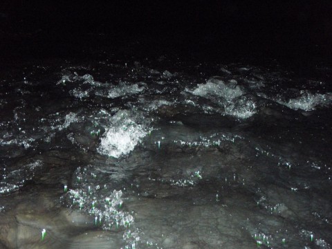 j6tbxrm4nbh5vytiw5ym_480_480-31254c08.jpg