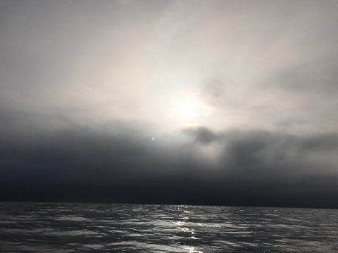 j6w69oytugv7x5nxbink_920_690-61c1a8b6.jpg
