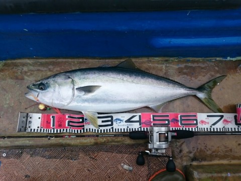 j74u9ray925ahi87zbvs_920_690-a0de1826.jpg
