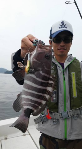j75s9nykrgaaa5oyx5oa_480_480-acd152c0.jpg