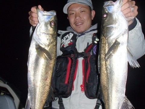 j75y6k3eps87e6ve2udv_480_480-5bddbe84.jpg