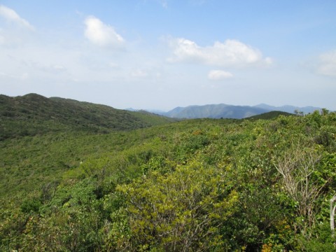 j7a8c45h32g6jszjuk5j_480_480-5c877e67.jpg