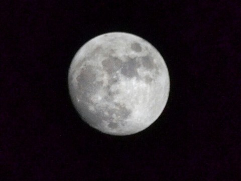 j7benxmjaveikntj4av6_920_691-55052df7.jpg