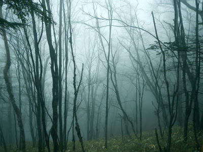 j7c9ohcufvagfpurfn6h-76185515.jpg