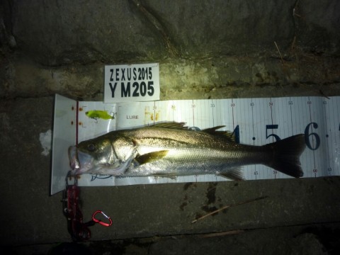 j7do78mizf7uckui5eht_920_690-3bb153e6.jpg