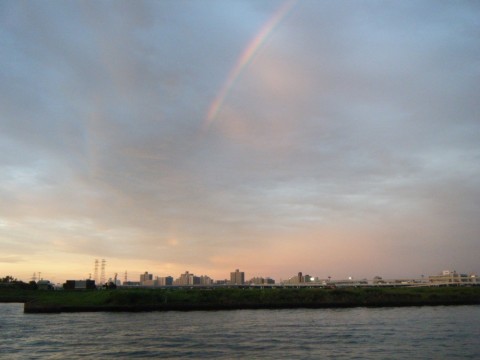 j7mf5we9h4xzjiwmhxj9_480_480-35e4db87.jpg