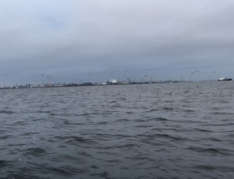 j7pbmamcmsa28t3pjyez_480_368-a9242878.jpg