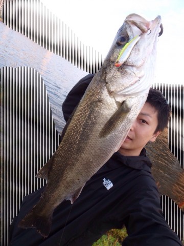 j7vprntn8framfgdor8w_690_920-a3ccde47.jpg