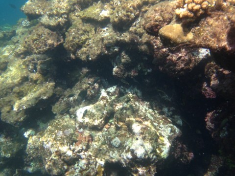 j85iwiywjbpw7ajf9m28_920_690-55c1f5bf.jpg