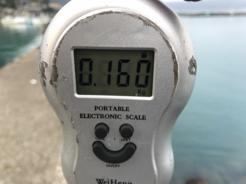 j85krw7vp5fpwxuxwaga_480_480-cf7d633d.jpg