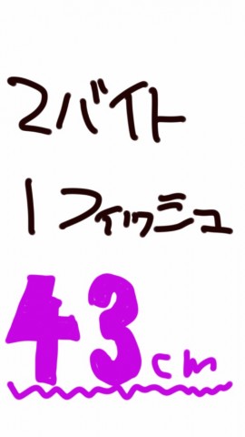 j85z3o8zasstdte4rgxr_518_920-e4ebf6c8.jpg