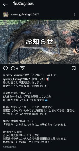 j89aesbdrumvvveh6zdx_480_480-a9bf8d0e.jpg