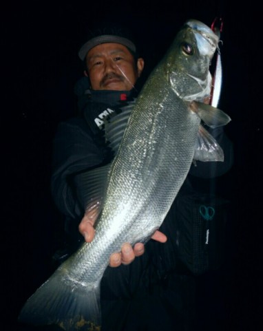 j8fxyk5ahzipc5inofzr_636_800-b348a260.jpg