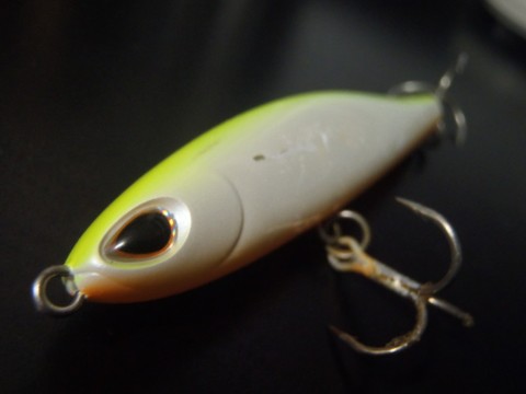 j8mjhcmgmv69uikmdmeb_480_480-b1656969.jpg