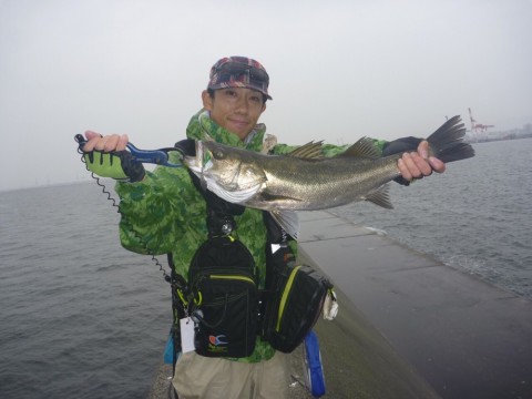 j8vvz2oneocps792hkgn_920_690-7854354e.jpg