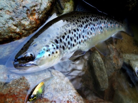 j93t6g8xagz4kwvunehr_480_480-510699b4.jpg