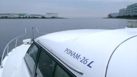 j959imok5praf6hfuhog_480_480-78081fef.jpg